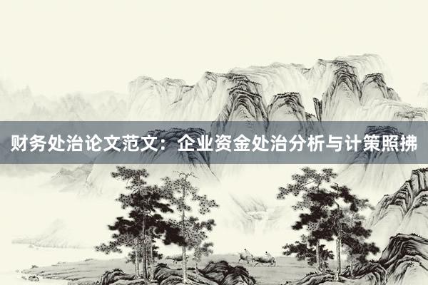 财务处治论文范文：企业资金处治分析与计策照拂
