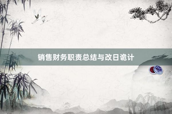 销售财务职责总结与改日诡计